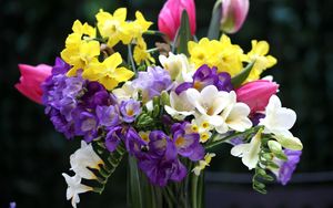 Preview wallpaper tulips, daffodils, freesia, bouquet, flowers, vase