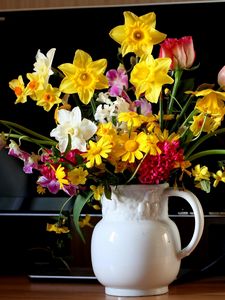 Preview wallpaper tulips, daffodils, hyacinths, flowers, bouquets, pot, monitor