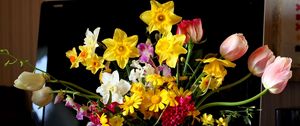 Preview wallpaper tulips, daffodils, hyacinths, flowers, bouquets, pot, monitor