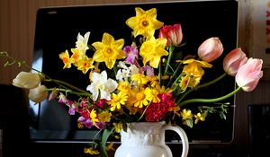 Preview wallpaper tulips, daffodils, hyacinths, flowers, bouquets, pot, monitor