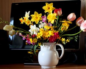 Preview wallpaper tulips, daffodils, hyacinths, flowers, bouquets, pot, monitor