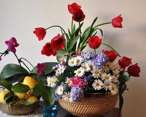 Preview wallpaper tulips, daisies, orchids, hyacinths, lemons, leaves, still life