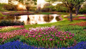 Preview wallpaper tulips, flower bed, lake
