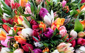 Preview wallpaper tulips, flowers, bouquet