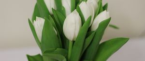 Preview wallpaper tulips, flowers, bouquet, white