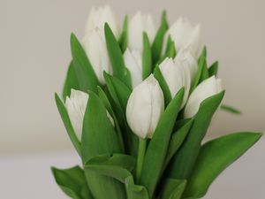Preview wallpaper tulips, flowers, bouquet, white