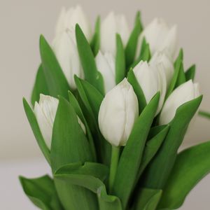 Preview wallpaper tulips, flowers, bouquet, white