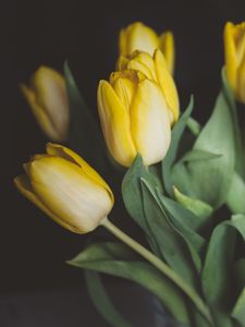 Preview wallpaper tulips, flowers, bouquet, yellow