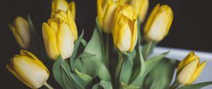 Preview wallpaper tulips, flowers, bouquet, yellow