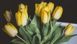 Preview wallpaper tulips, flowers, bouquet, yellow