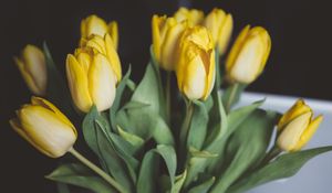 Preview wallpaper tulips, flowers, bouquet, yellow