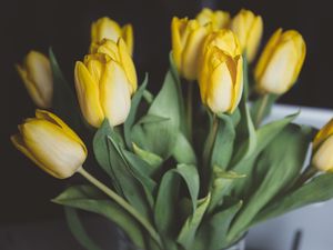 Preview wallpaper tulips, flowers, bouquet, yellow