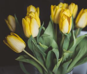 Preview wallpaper tulips, flowers, bouquet, yellow