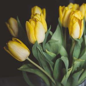Preview wallpaper tulips, flowers, bouquet, yellow