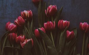 Preview wallpaper tulips, flowers, bouquet