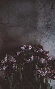 Preview wallpaper tulips, flowers, bouquet, wall