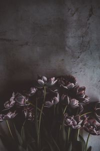 Preview wallpaper tulips, flowers, bouquet, wall