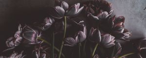 Preview wallpaper tulips, flowers, bouquet, wall