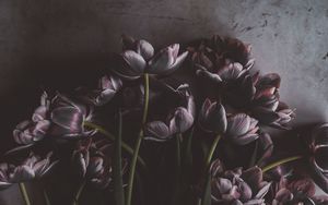 Preview wallpaper tulips, flowers, bouquet, wall