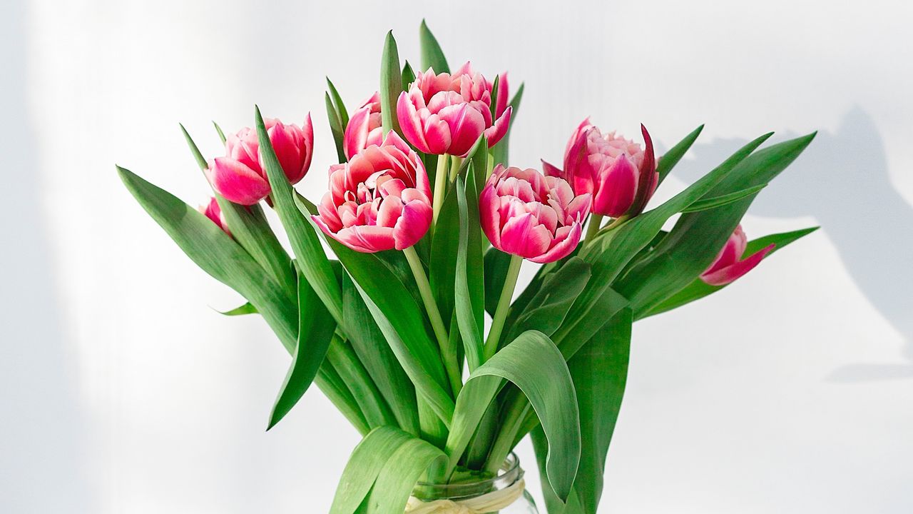 Wallpaper tulips, flowers, bouquet, pink, vase