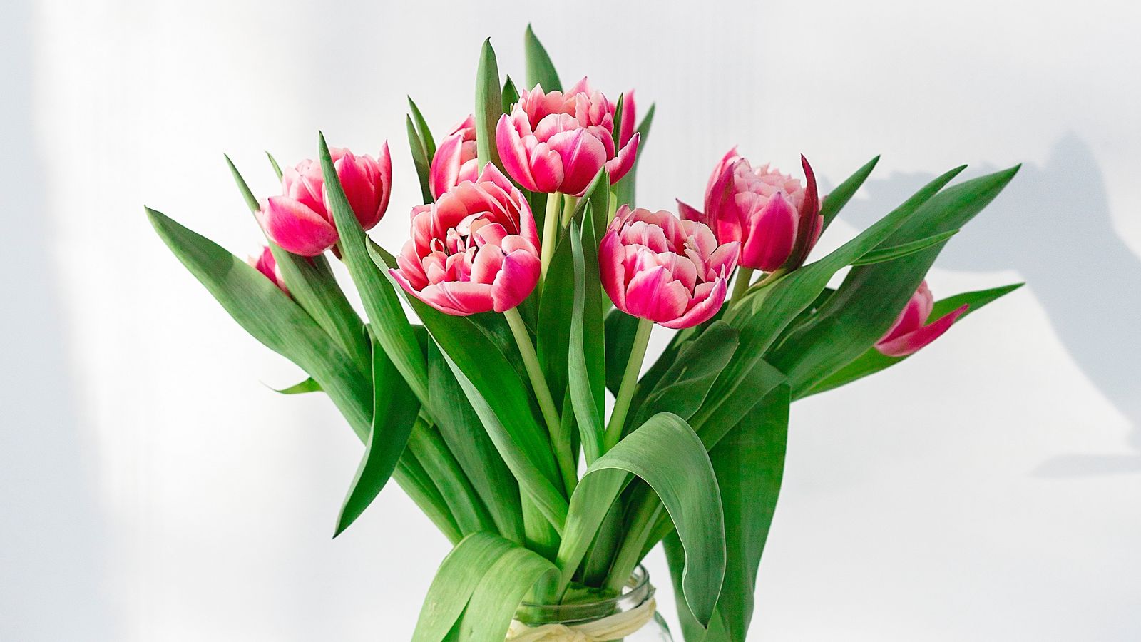 Download wallpaper 1600x900 tulips, flowers, bouquet, pink, vase ...