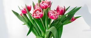 Preview wallpaper tulips, flowers, bouquet, pink, vase