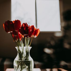 Preview wallpaper tulips, flowers, bouquet, red
