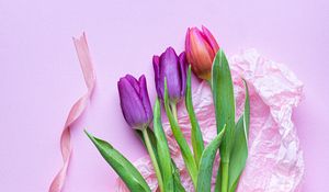 Preview wallpaper tulips, flowers, bouquet, purple, pink