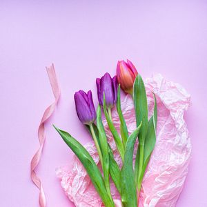 Preview wallpaper tulips, flowers, bouquet, purple, pink