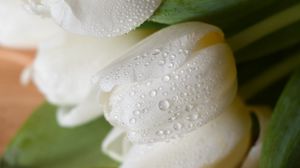 Preview wallpaper tulips, flowers, bouquet, white, wet