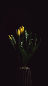 Preview wallpaper tulips, flowers, bouquet, vase, dark
