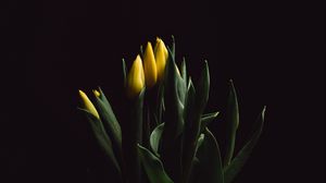 Preview wallpaper tulips, flowers, bouquet, vase, dark