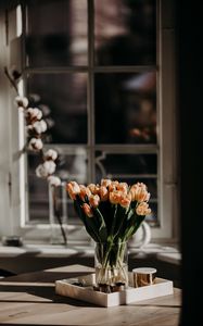 Preview wallpaper tulips, flowers, bouquet, light, aesthetics