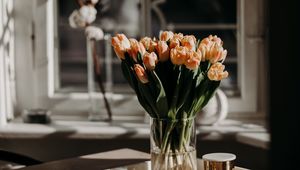 Preview wallpaper tulips, flowers, bouquet, light, aesthetics