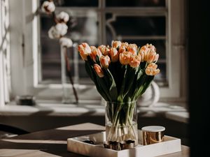 Preview wallpaper tulips, flowers, bouquet, light, aesthetics