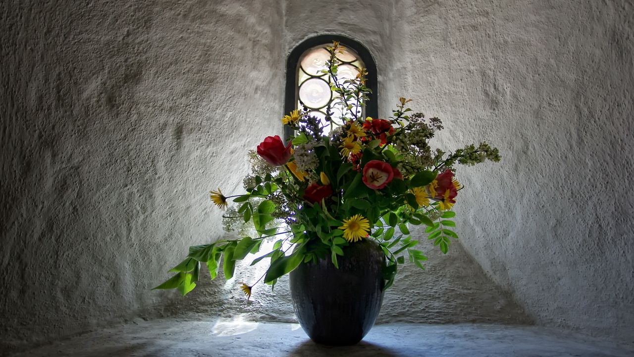 Wallpaper tulips, flowers, bouquet, vase, window, wall