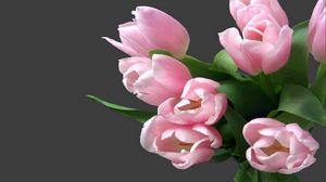 Preview wallpaper tulips, flowers, bouquet, tender