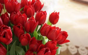 Preview wallpaper tulips, flowers, bouquet, red, beautifully