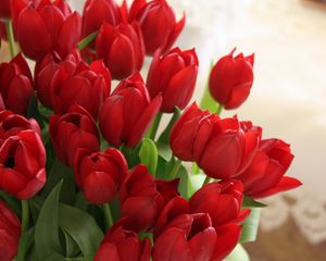 Preview wallpaper tulips, flowers, bouquet, red, beautifully