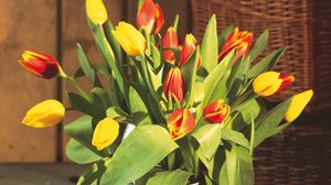 Preview wallpaper tulips, flowers, bouquet, big, bucket, herbs, buds