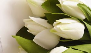 Preview wallpaper tulips, flowers, bouquet, white, artificial