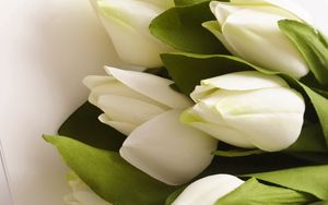 Preview wallpaper tulips, flowers, bouquet, white, artificial