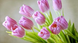 Preview wallpaper tulips, flowers, bouquet, spring
