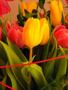 Preview wallpaper tulips, flowers, bouquet, decoration, close-up