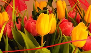 Preview wallpaper tulips, flowers, bouquet, decoration, close-up