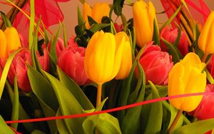 Preview wallpaper tulips, flowers, bouquet, decoration, close-up