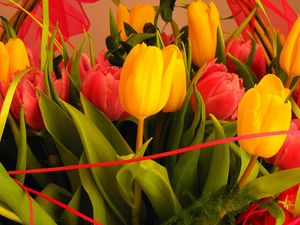 Preview wallpaper tulips, flowers, bouquet, decoration, close-up