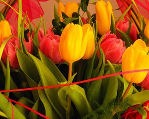 Preview wallpaper tulips, flowers, bouquet, decoration, close-up