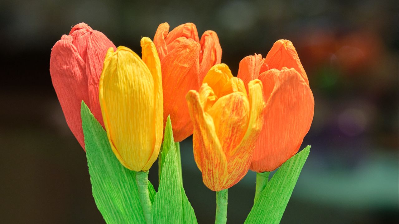Wallpaper tulips, flowers, bouquet, vase, colorful