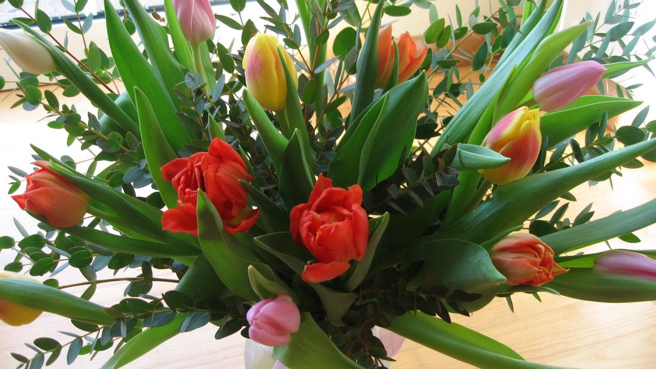 Wallpaper tulips, flowers, bouquets, greens, vase, beauty